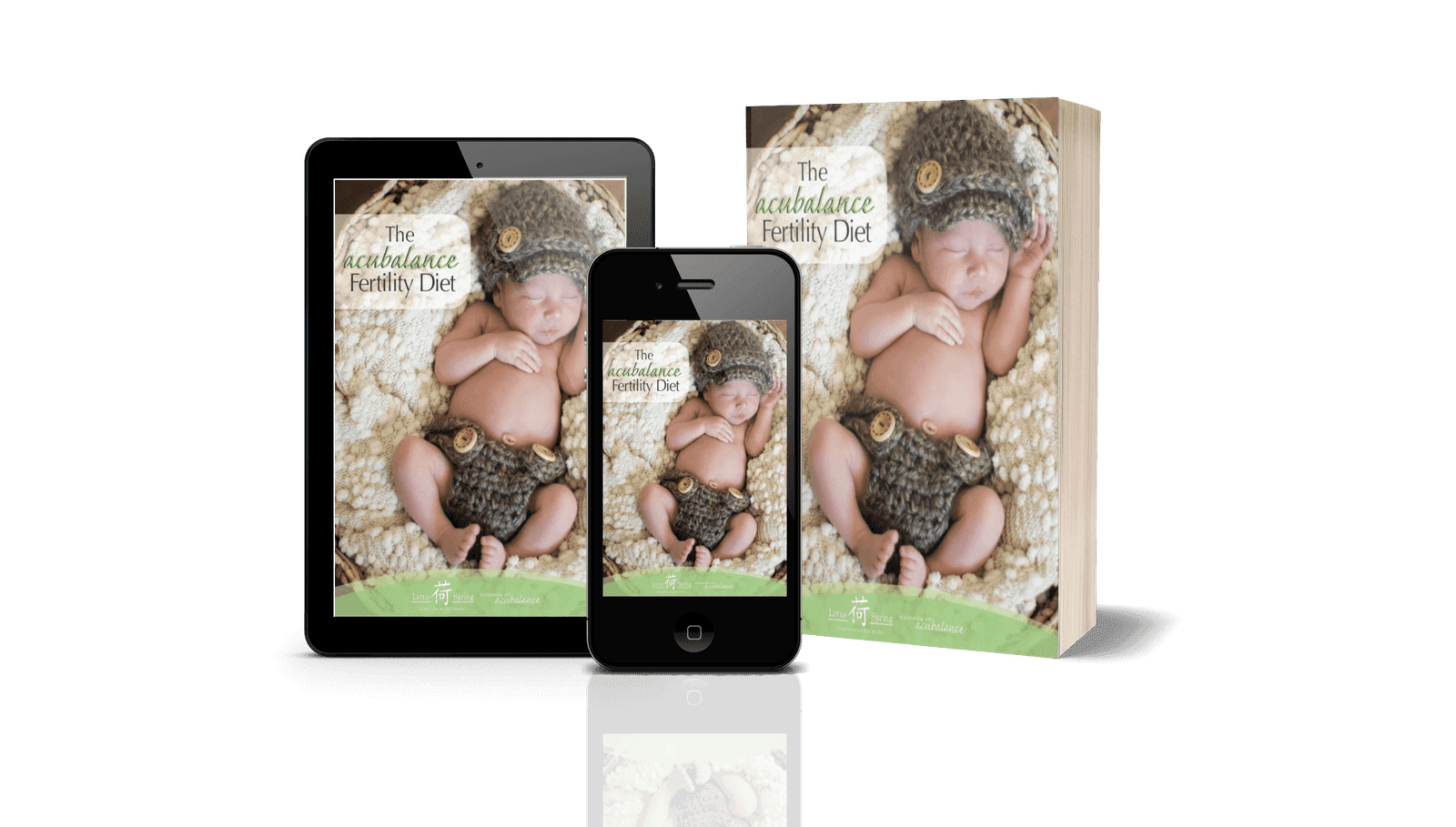 infertility nutrition diet ebook infertility nutrition diet ebook