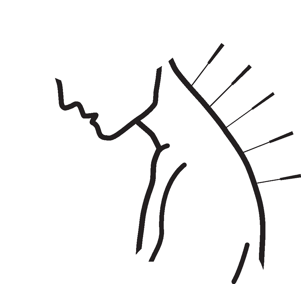 acupuncture drawing Acupuncture & Wellness Inc.