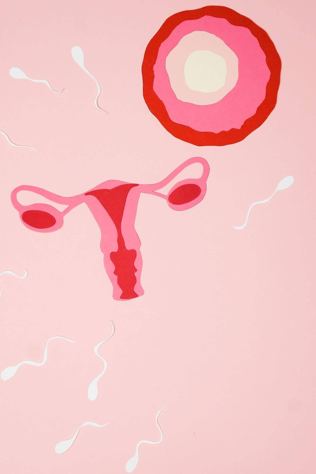 Acupuncture For Infertility Treatment - Best Acupuncture in Utah County - Lotus Spring Acupuncture 7 Acupuncture For Infertility Treatment - Best Acupuncture in Utah County - Lotus Spring Acupuncture 7
