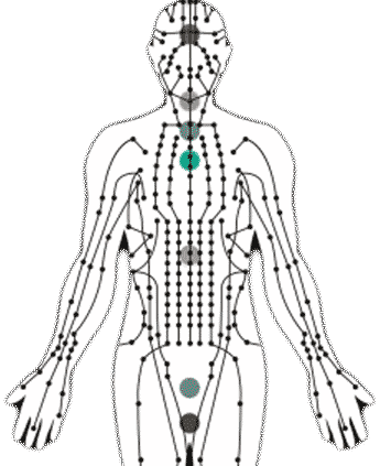 meridians Acupuncture & Wellness Inc.