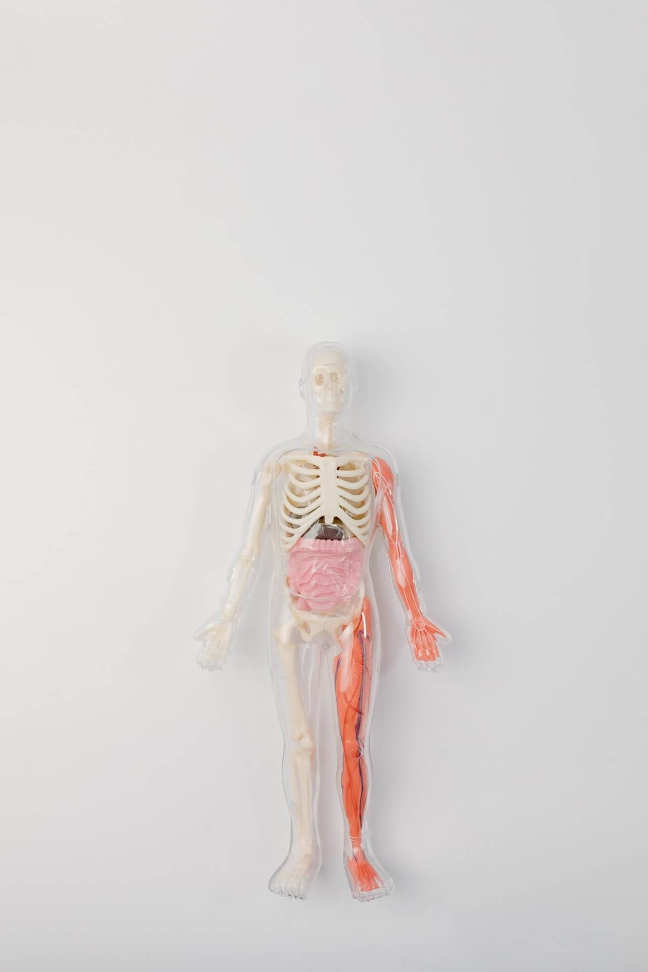 Acupuncture treatment for back pain , acute lower back pain, acupuncturist near me, best acupuncture in utah county 4 Acupuncture treatment for back pain , acute lower back pain, acupuncturist near me, best acupuncture in utah county 4